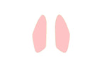 Leaves Small Earrings